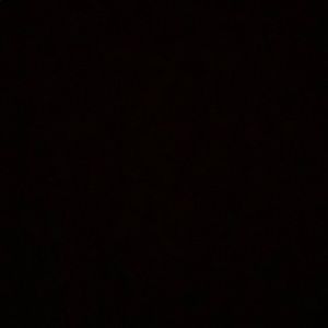 Meet your Posher, Janel